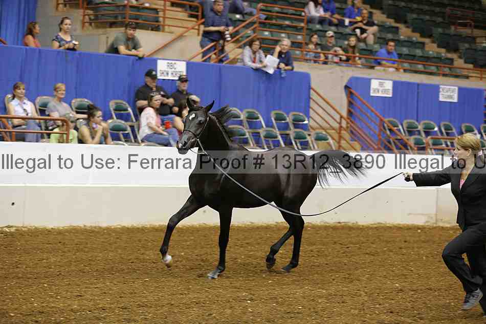 Proof 13r12_3890