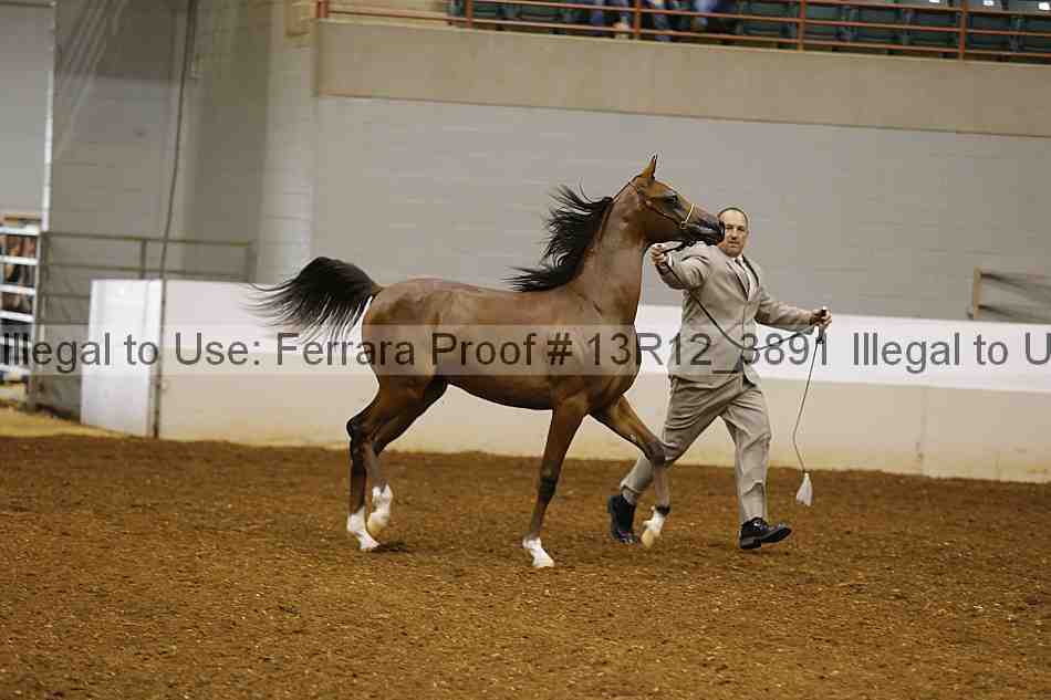 Proof 13r12_3891