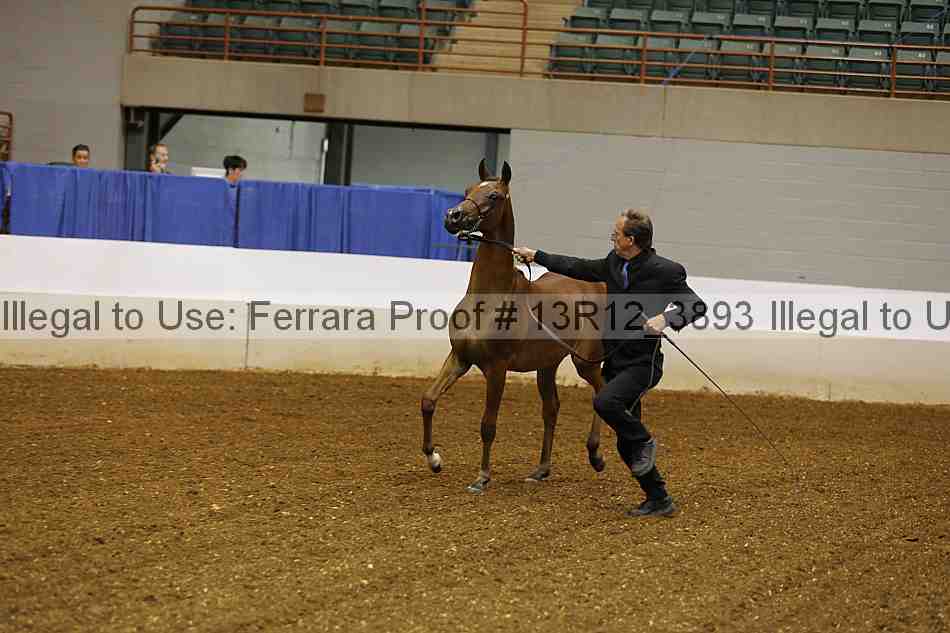 Proof 13r12_3893