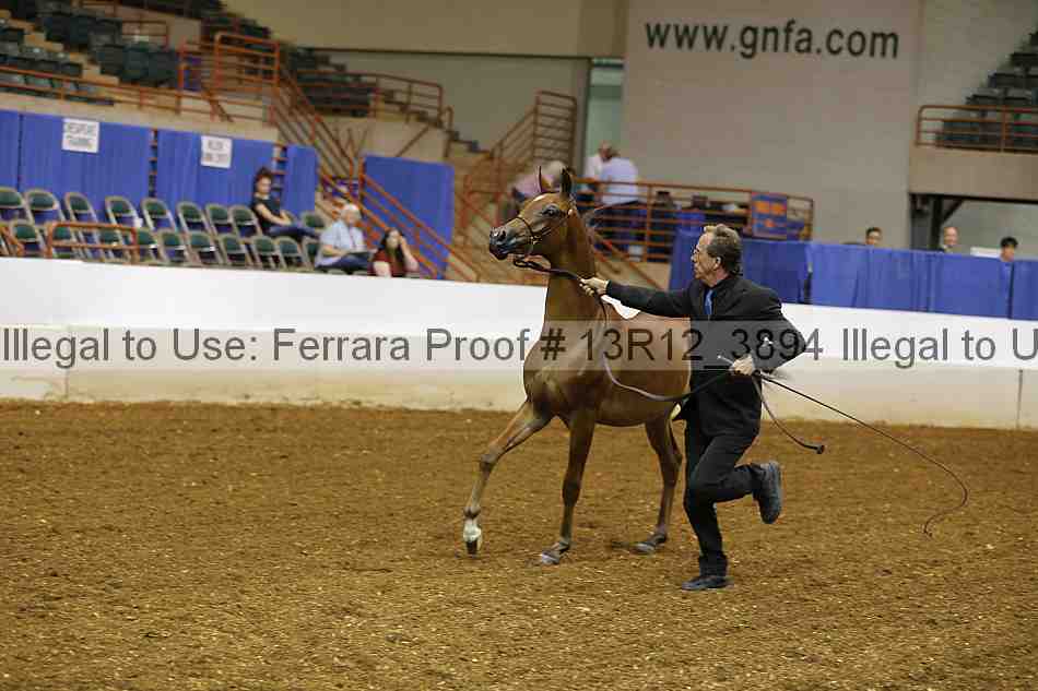 Proof 13r12_3894