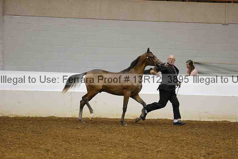 Proof 13r12_3895