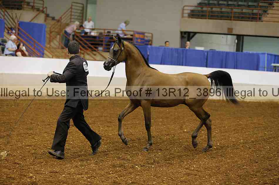 Proof 13r12_3896