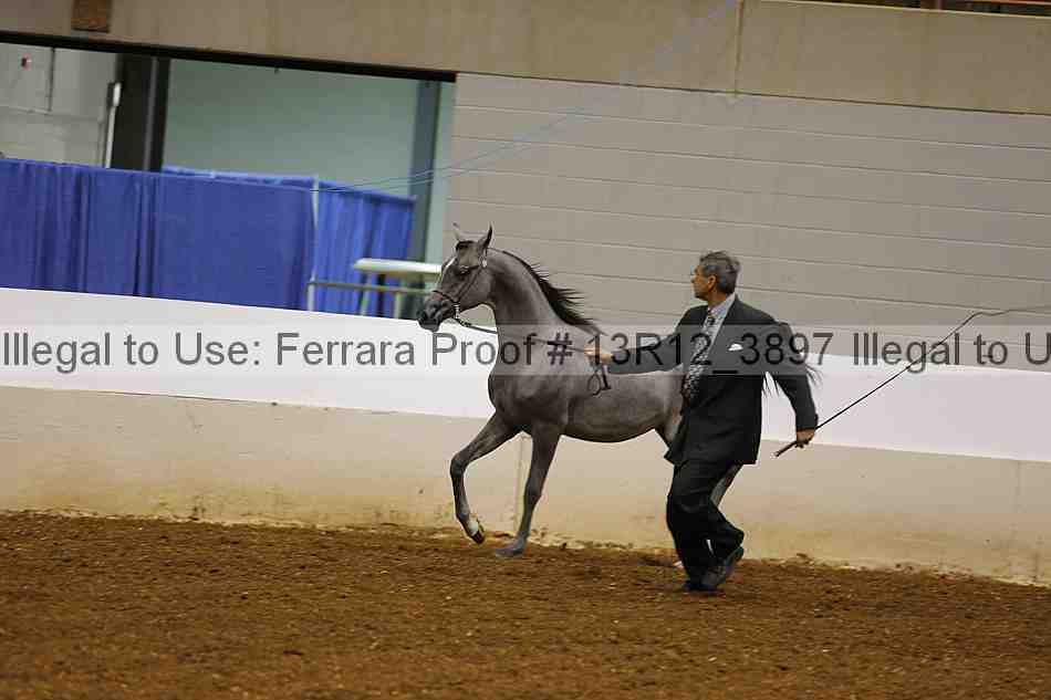 Proof 13r12_3897
