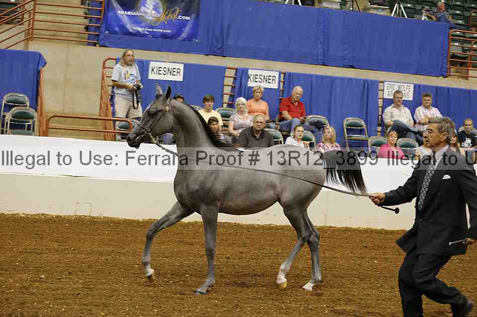 Proof 13r12_3899