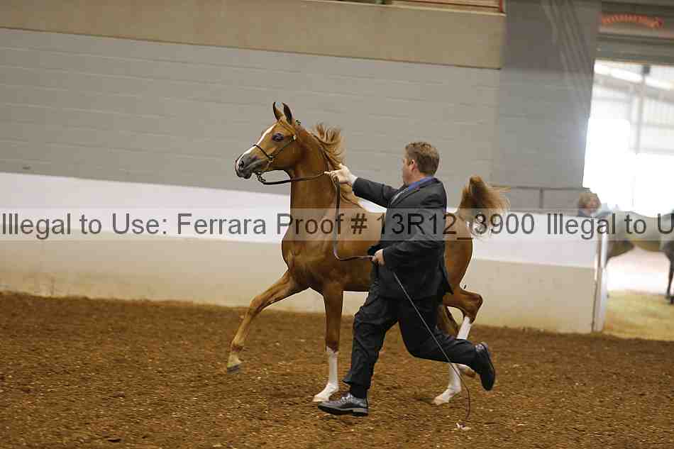 Proof 13r12_3900