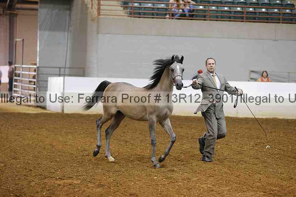 Proof 13r12_3901