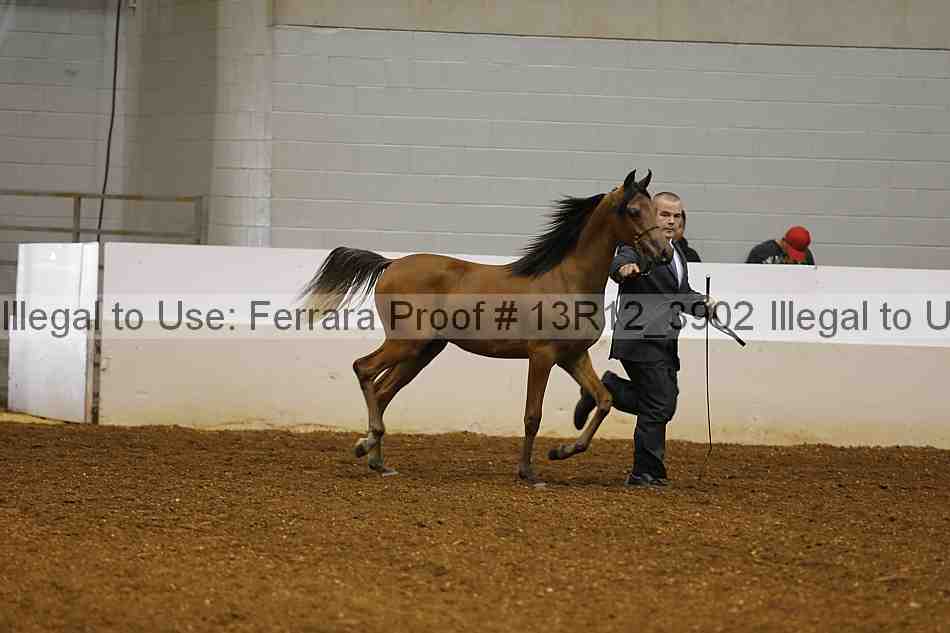 Proof 13r12_3902
