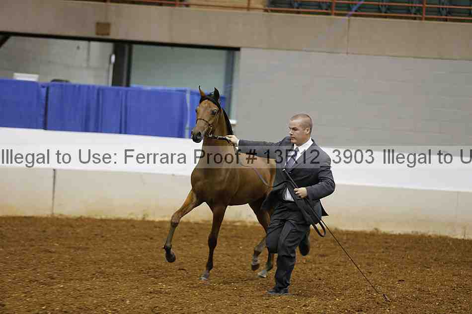Proof 13r12_3903