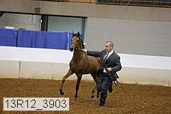13r12_3903 proof