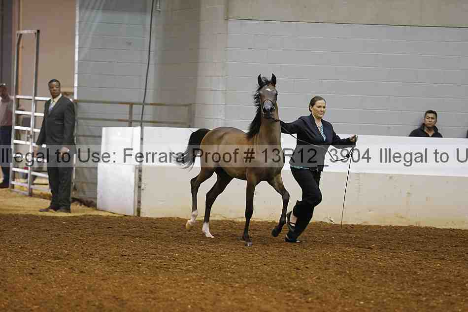 Proof 13r12_3904