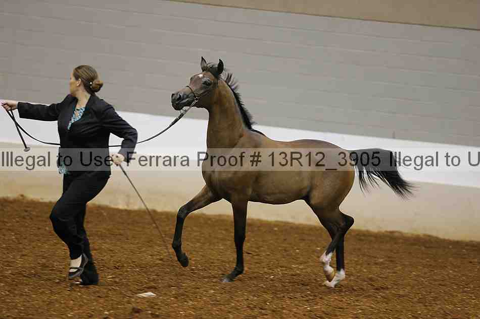Proof 13r12_3905
