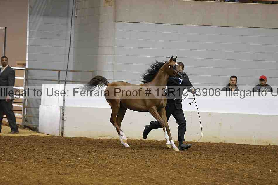 Proof 13r12_3906