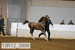 13r12_3906 proof