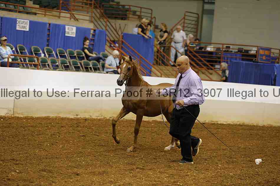 Proof 13r12_3907
