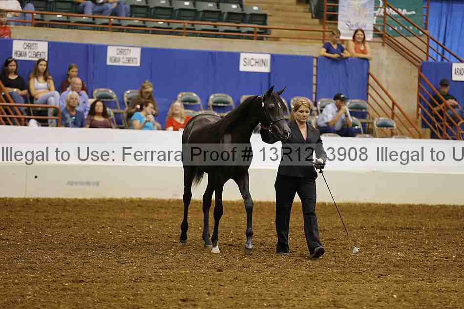 Proof 13r12_3908
