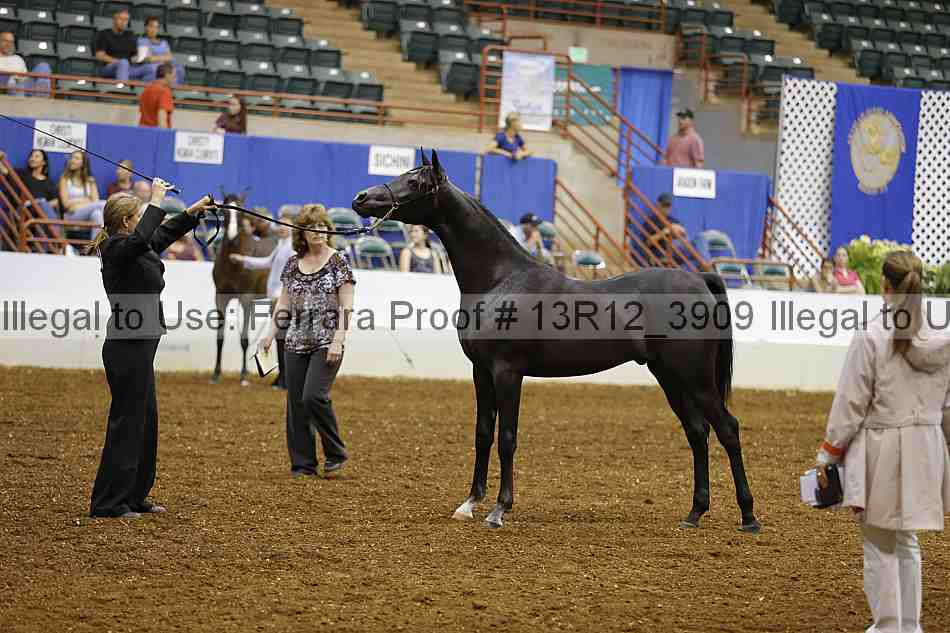 Proof 13r12_3909