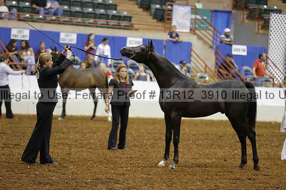 Proof 13r12_3910