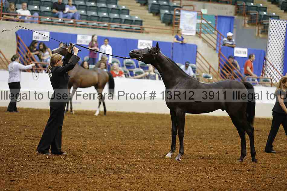 Proof 13r12_3911