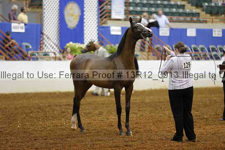 Proof 13r12_3913
