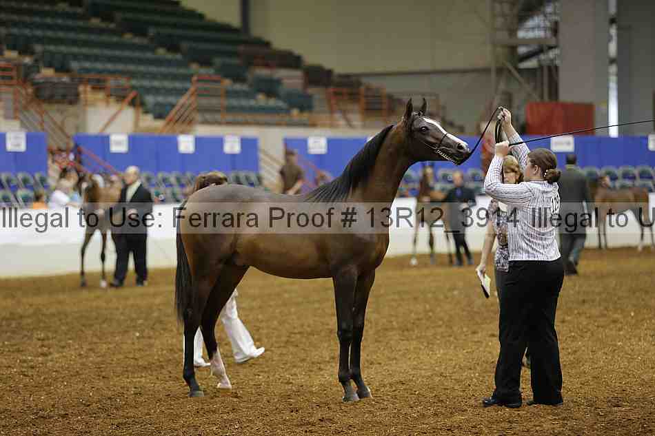 Proof 13r12_3914