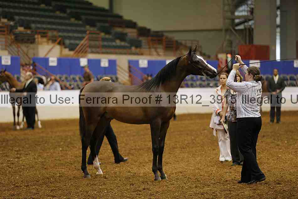 Proof 13r12_3915