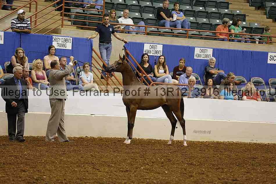 Proof 13r12_3916