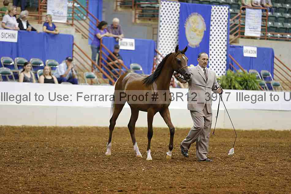Proof 13r12_3917