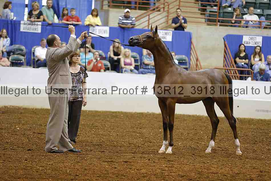 Proof 13r12_3918