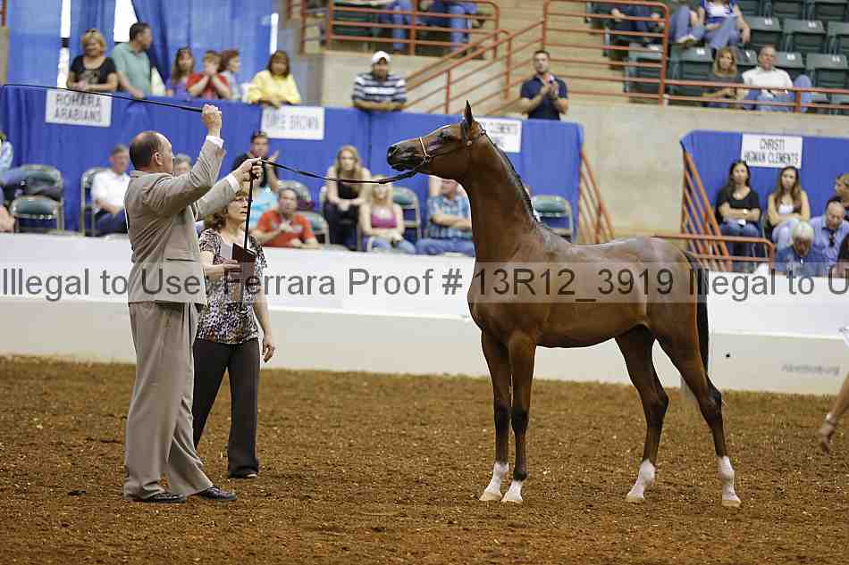 Proof 13r12_3919