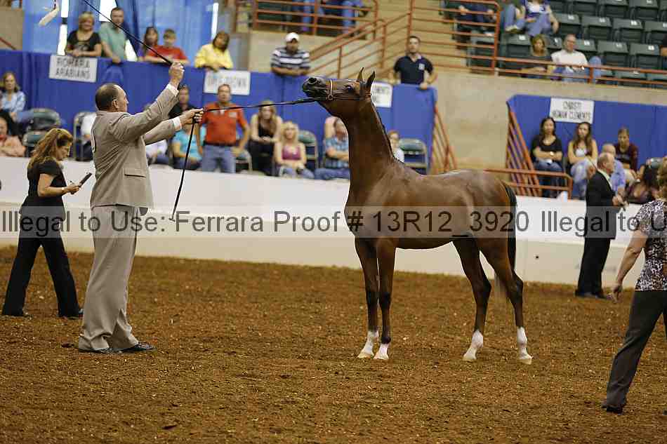 Proof 13r12_3920