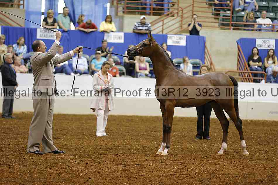 Proof 13r12_3923