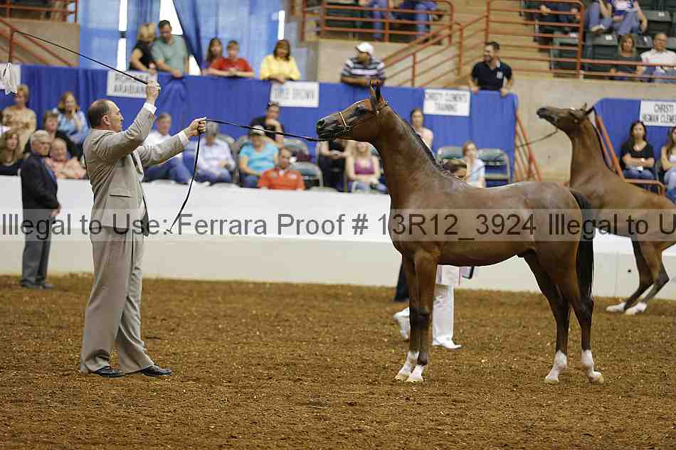 Proof 13r12_3924