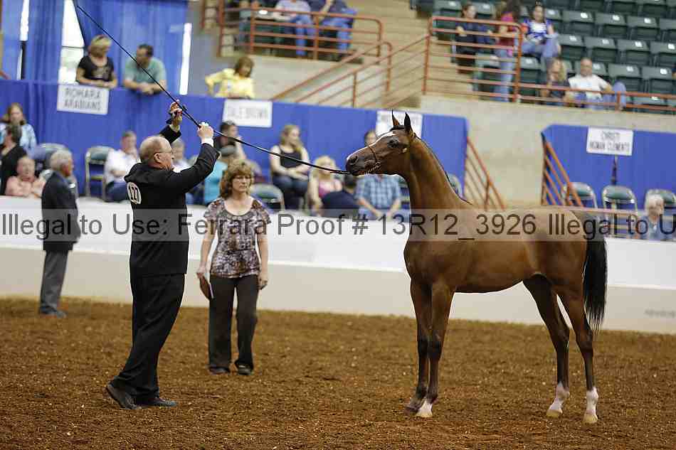 Proof 13r12_3926
