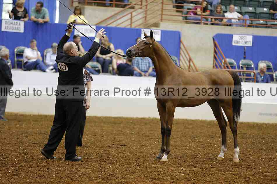 Proof 13r12_3928