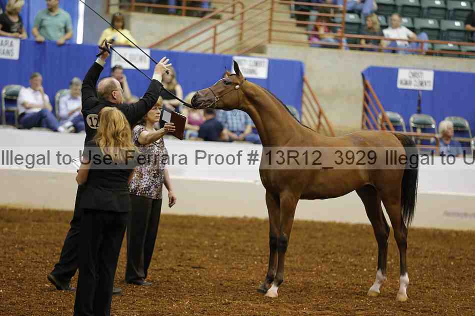 Proof 13r12_3929