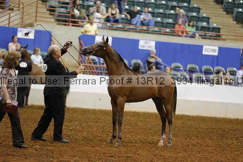 Proof 13r12_3934