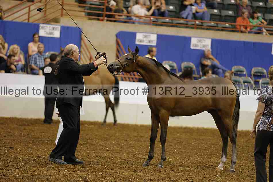 Proof 13r12_3935