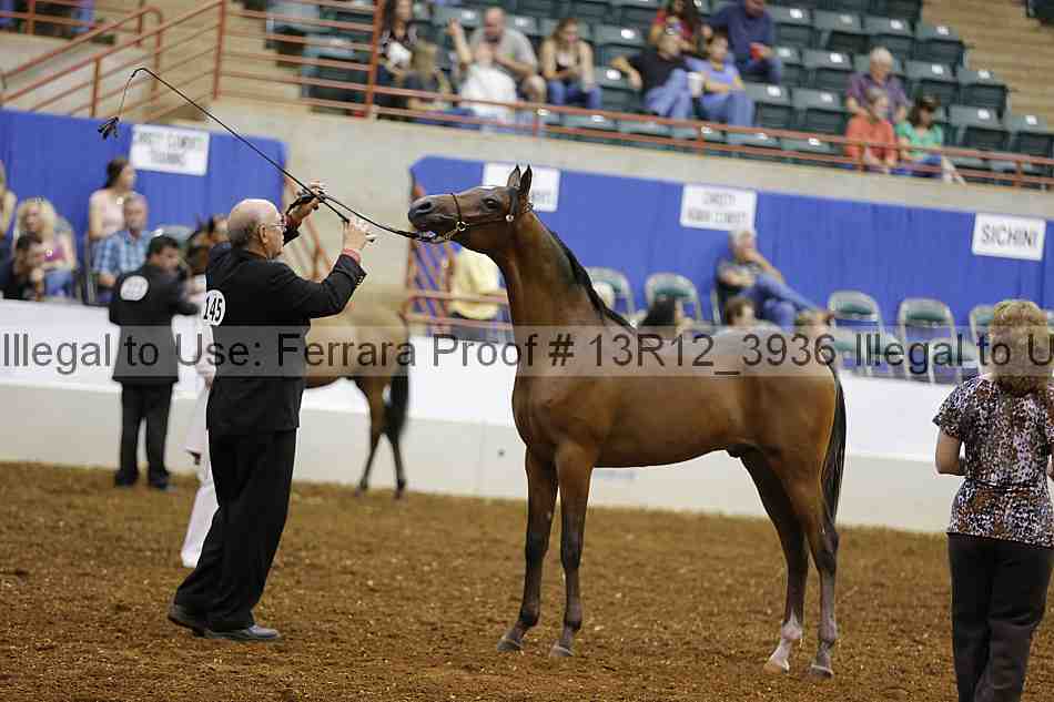Proof 13r12_3936