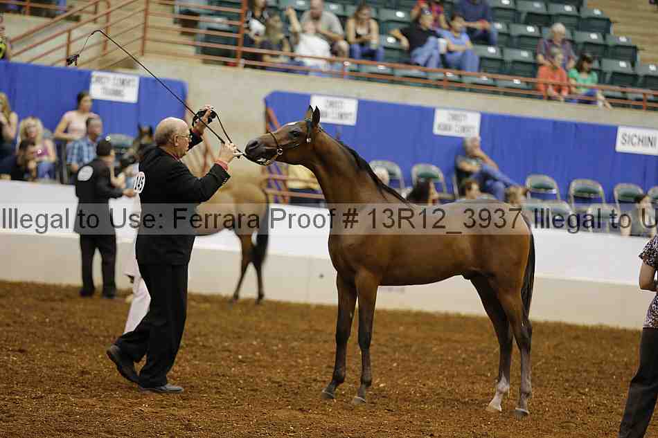Proof 13r12_3937