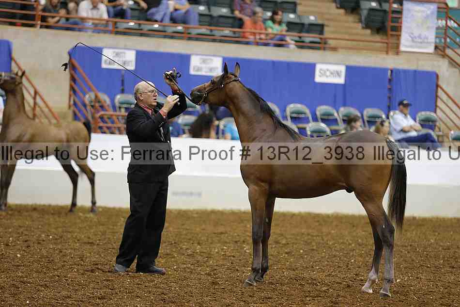 Proof 13r12_3938