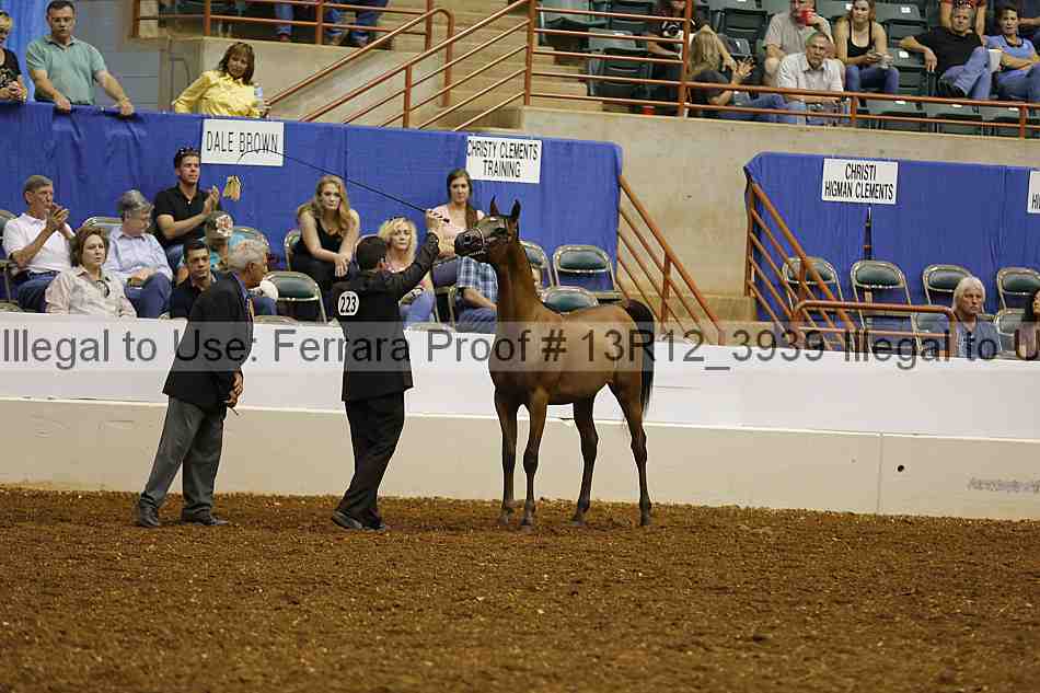 Proof 13r12_3939