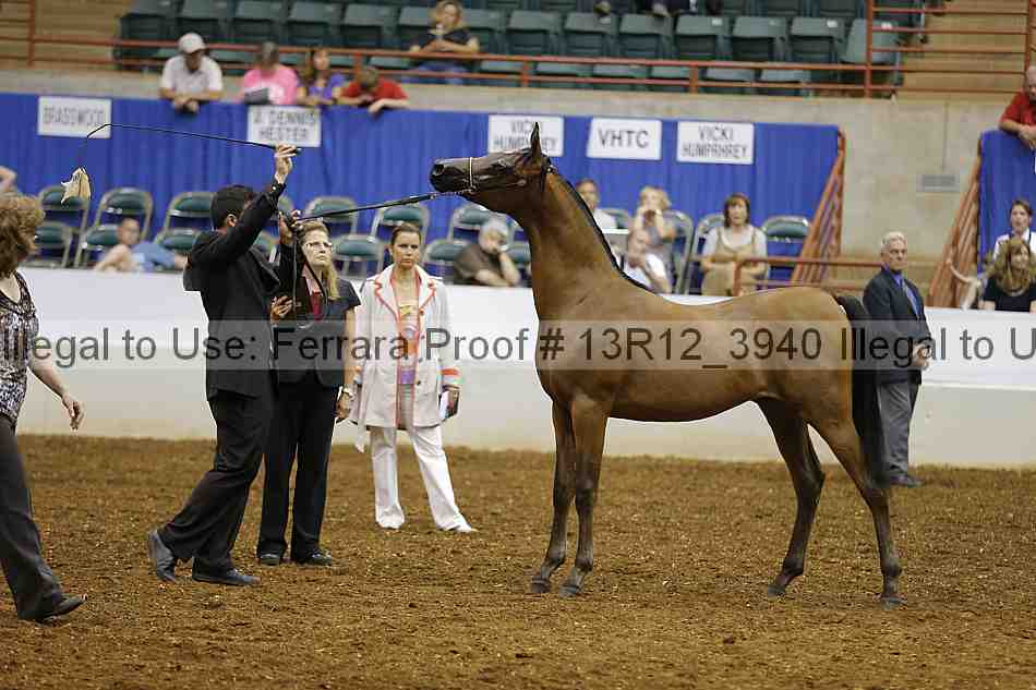 Proof 13r12_3940