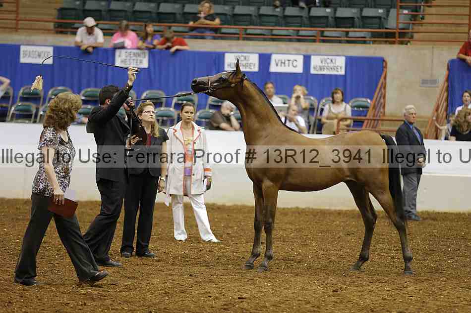 Proof 13r12_3941
