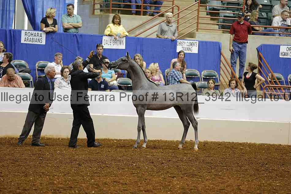 Proof 13r12_3942
