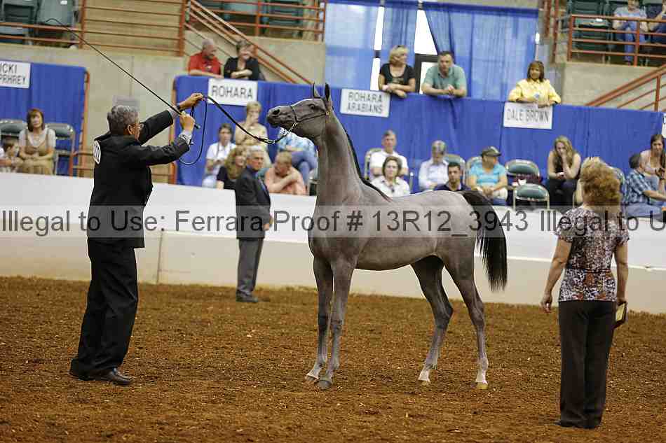 Proof 13r12_3943