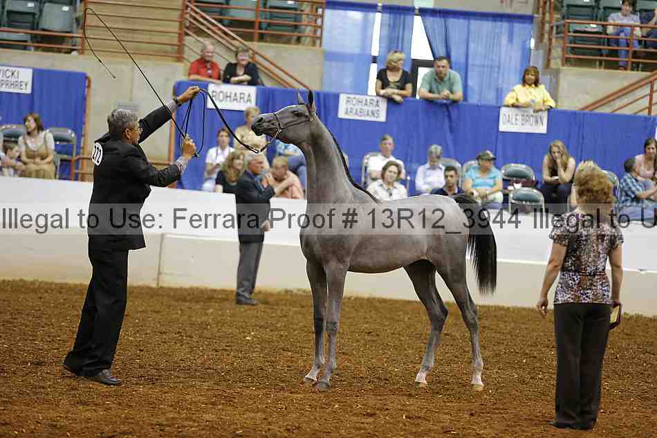 Proof 13r12_3944