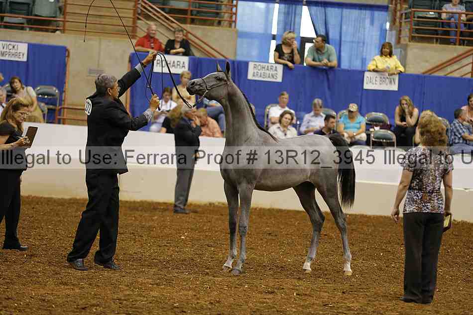 Proof 13r12_3945