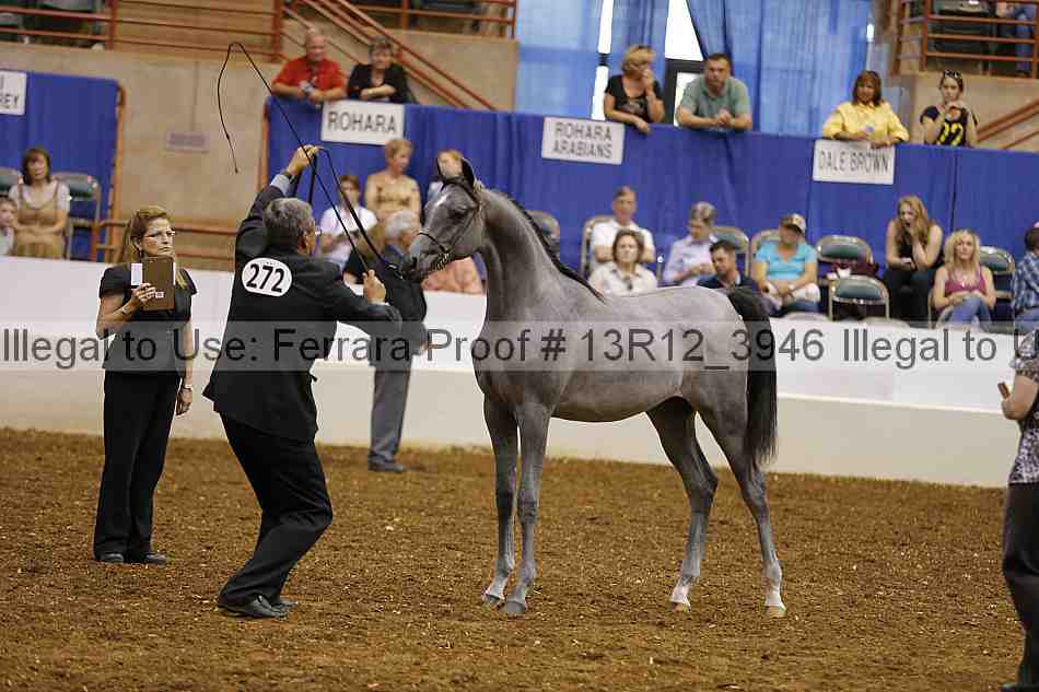 Proof 13r12_3946