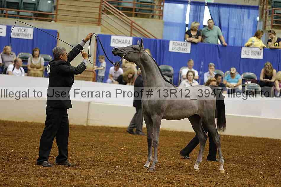 Proof 13r12_3947