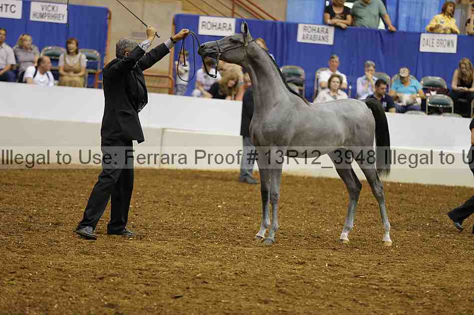 Proof 13r12_3948